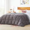 Full Size All Seasons Plush Light/Dark Grey Reversible Polyester Down Alternative Comforter