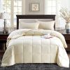 Full/Queen Traditional Microfiber Reversible 3 Piece Comforter Set in Ivory